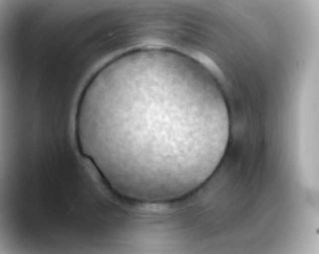 X0000088491183200706051413