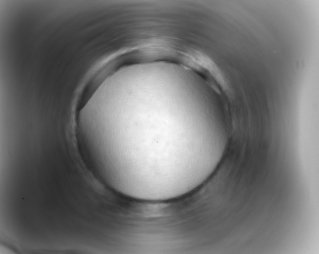 X0000088491184200706051413