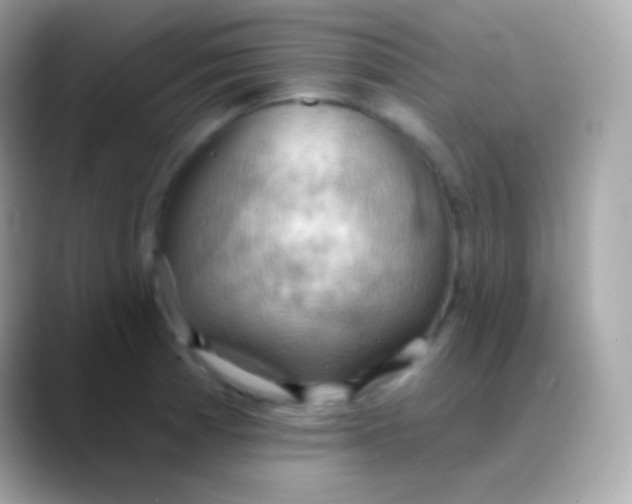 X0000088491185200706051413