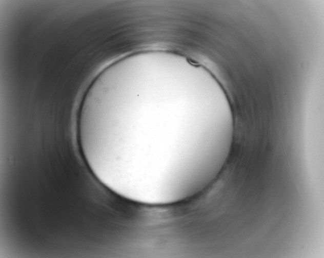 X0000088491187200706051413