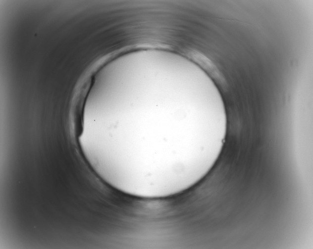 X0000088491188200706051413