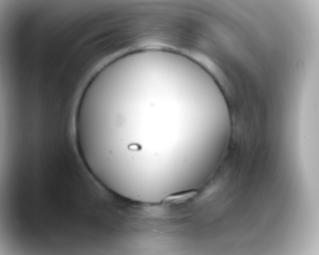 X0000088491191200706051413