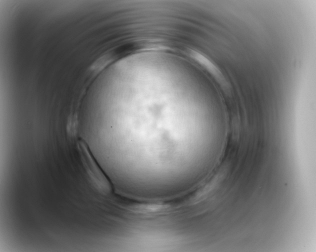 X0000088491193200706051413