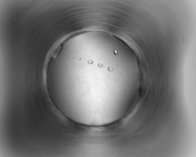 X0000088491196200706051413