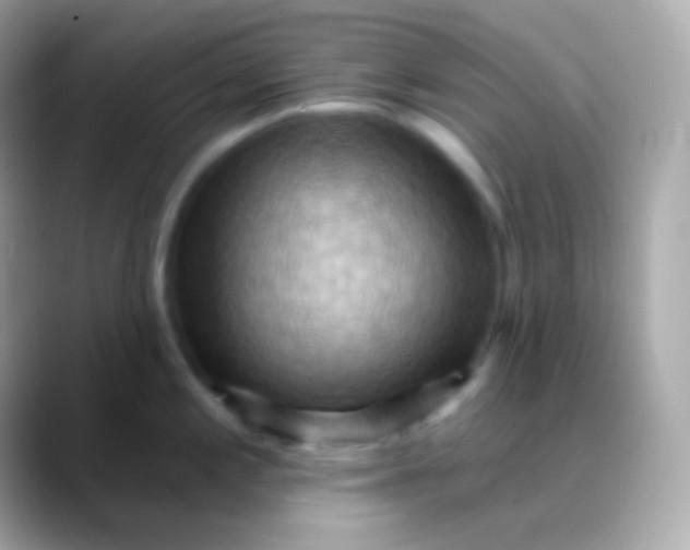 X0000088491197200706051413