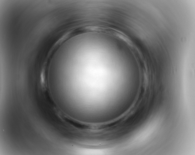 X0000088491198200706051412