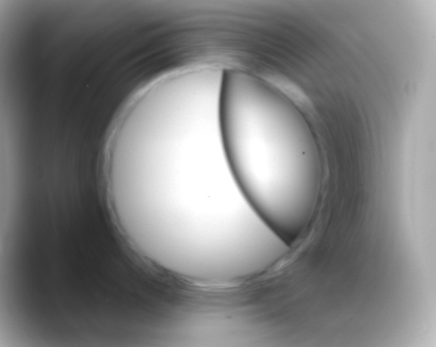 X0000088491200200706051412