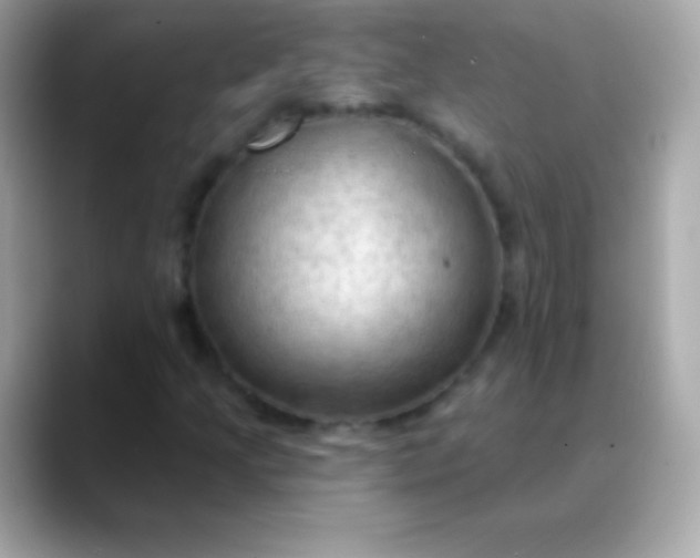 X0000088491205200706051412