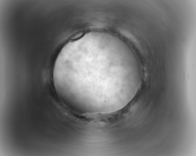 X0000088491208200706051412