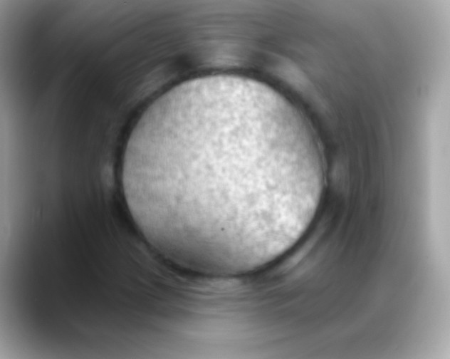X0000088491209200706051412