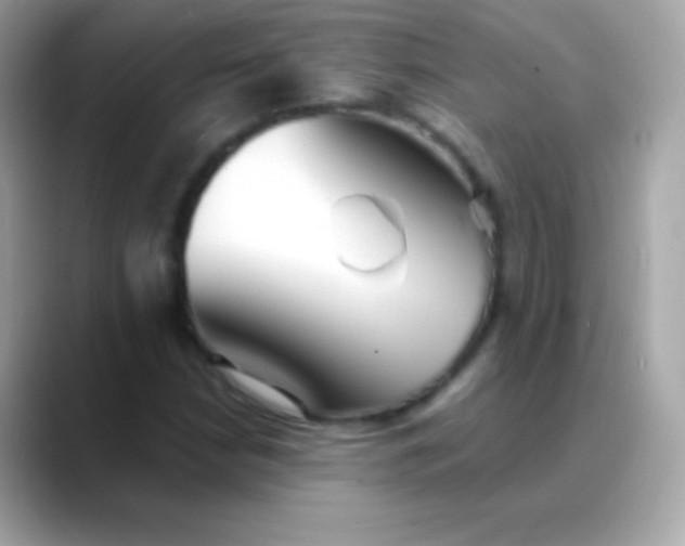 X0000088491210200706051412