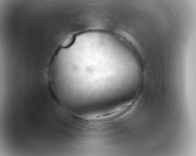 X0000088491212200706051412
