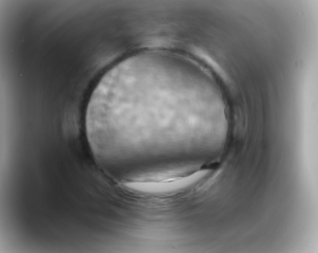 X0000088491213200706051412
