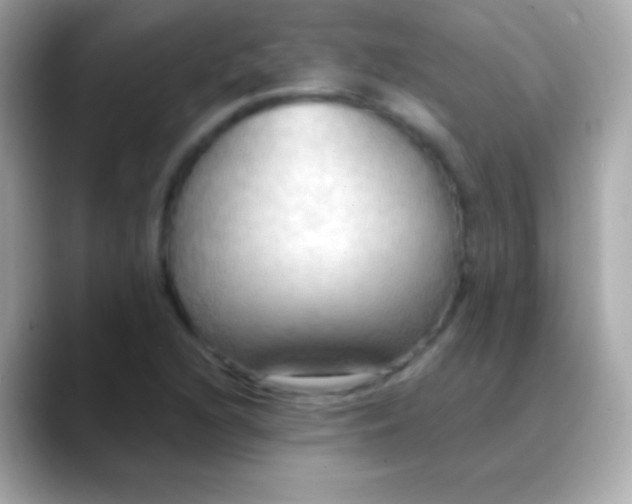 X0000088491216200706051412