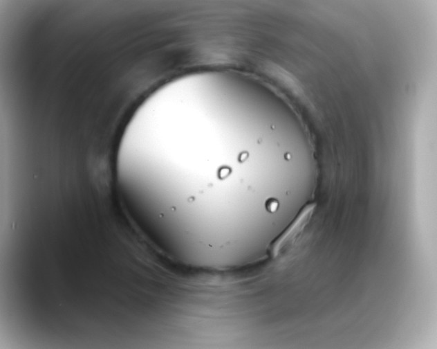 X0000088491218200706051412