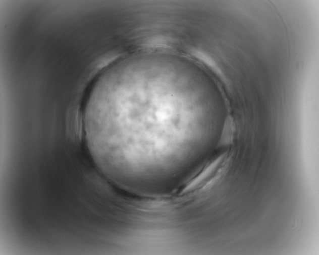 X0000088491219200706051412