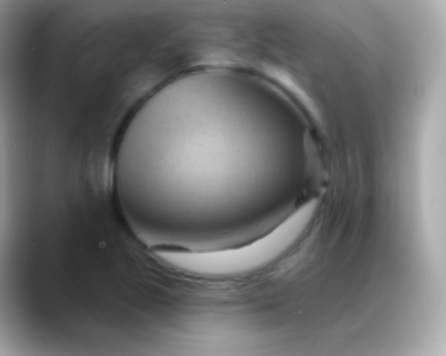 X0000088491221200706051412
