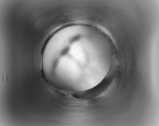 X0000088491223200706051412
