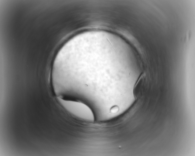X0000088491224200706051412