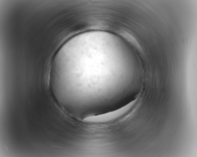 X0000088491228200706051412