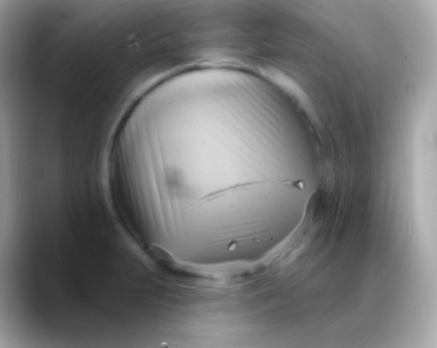 X0000088491231200706051412