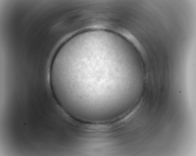 X0000088491232200706051412