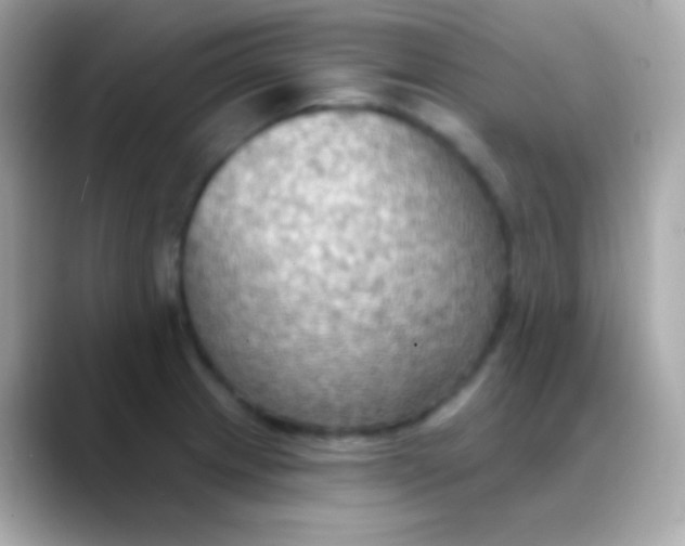 X0000088491233200706051412