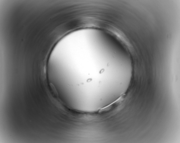 X0000088491234200706051412