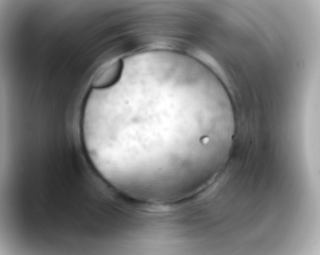 X0000088491235200706051412
