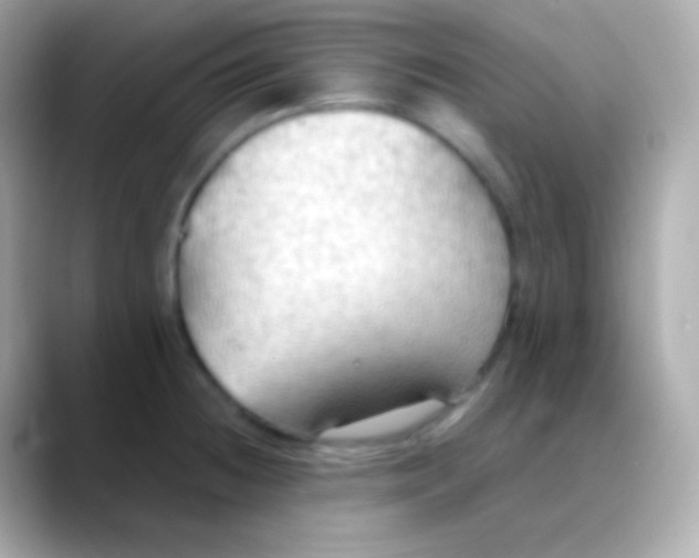X0000088491236200706051412