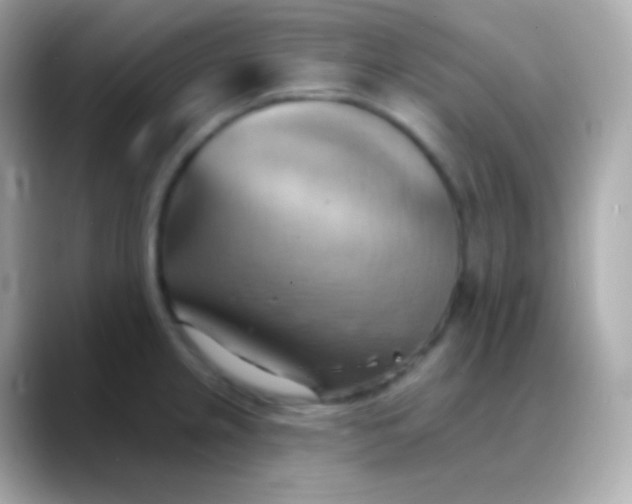 X0000088491237200706051412