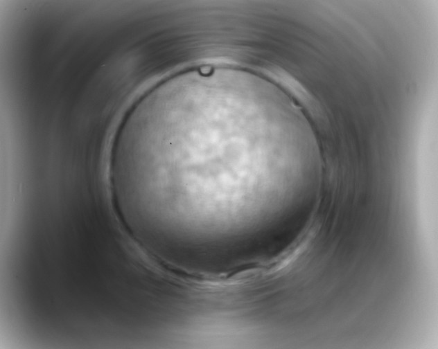 X0000088491240200706051412