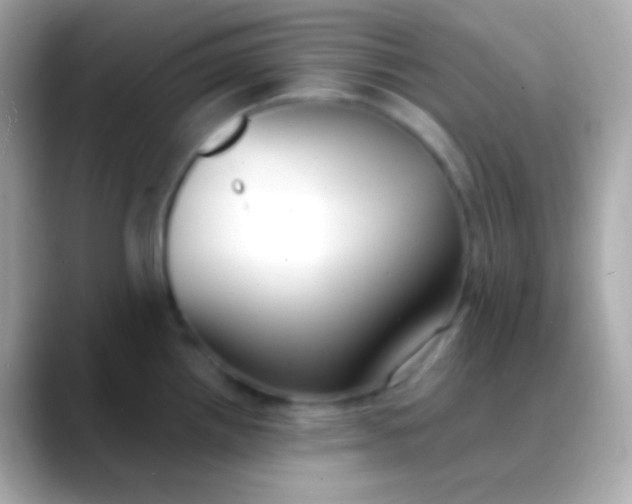 X0000088491242200706051412