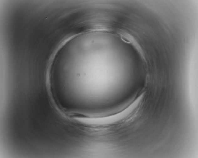 X0000088491243200706051412