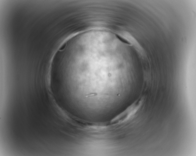 X0000088491244200706051412