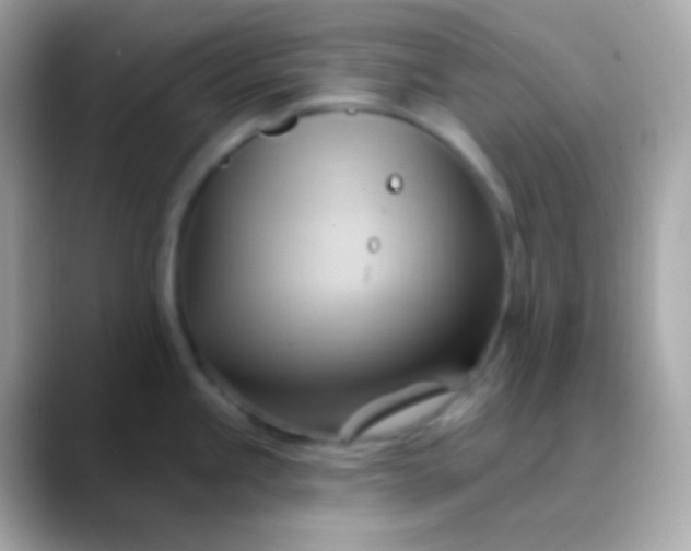 X0000088491245200706051412