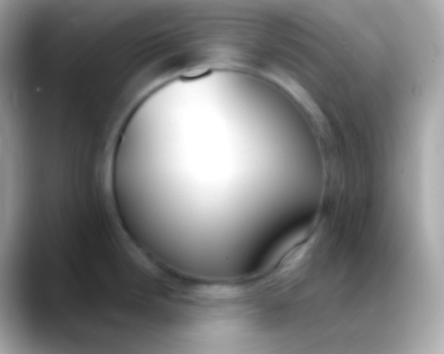 X0000088491246200706051412
