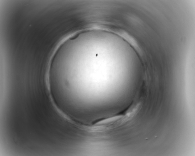 X0000088491247200706051412