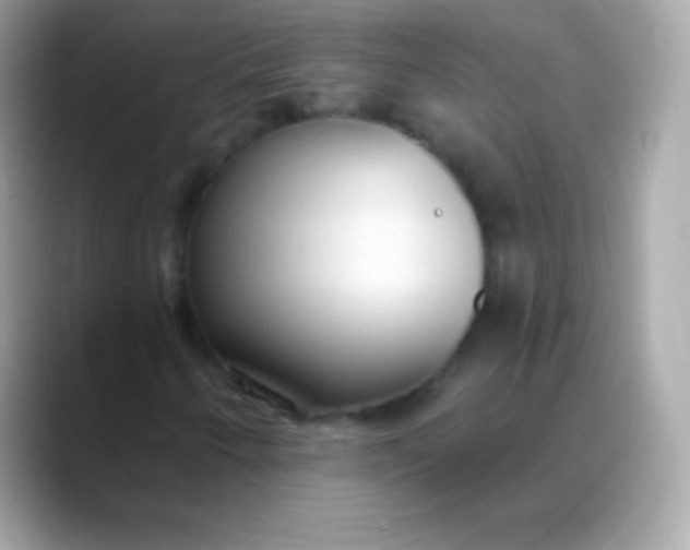 X0000088491250200706051412