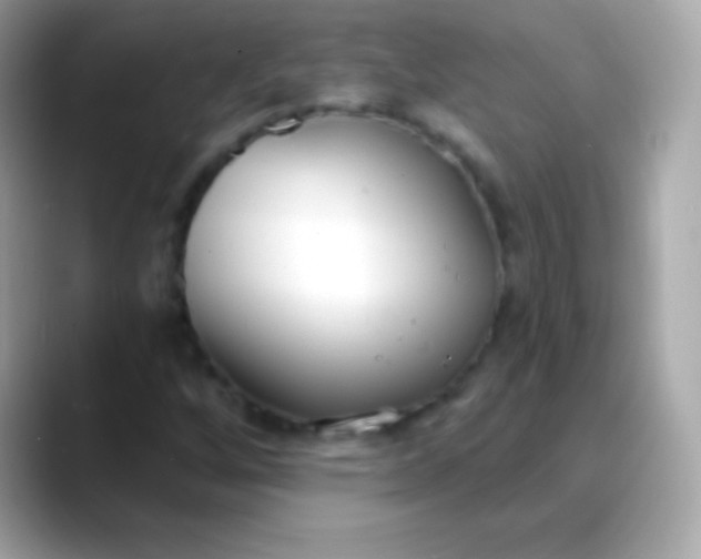 X0000088491256200706051412