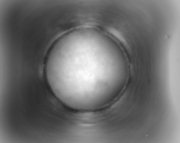 X0000088491260200706051412
