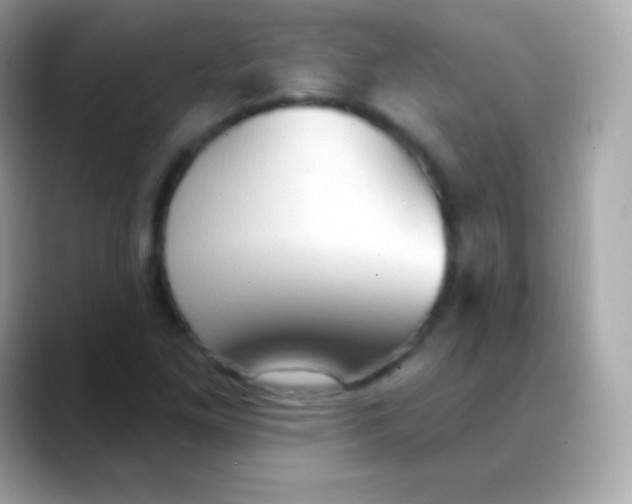 X0000088491261200706051412