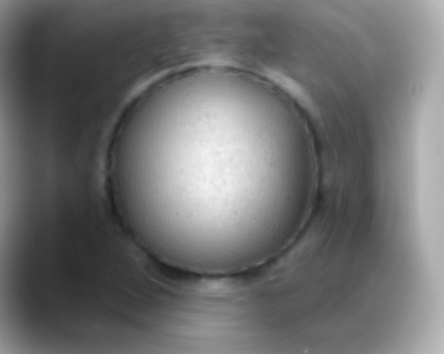 X0000088491264200706051412
