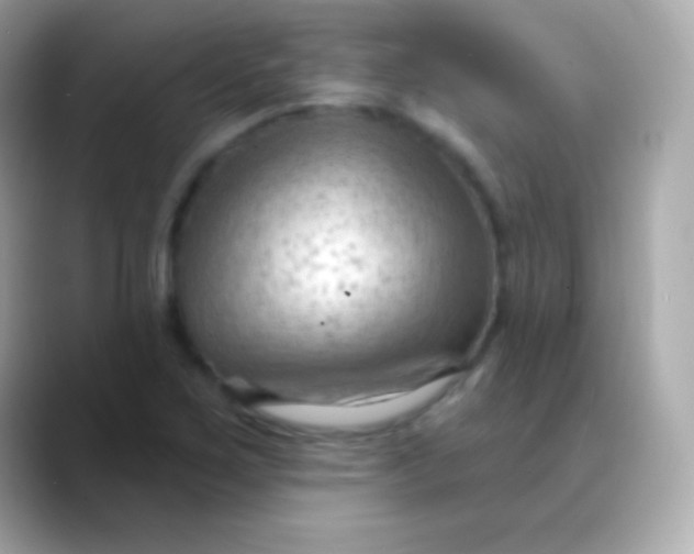 X0000088491267200706051412