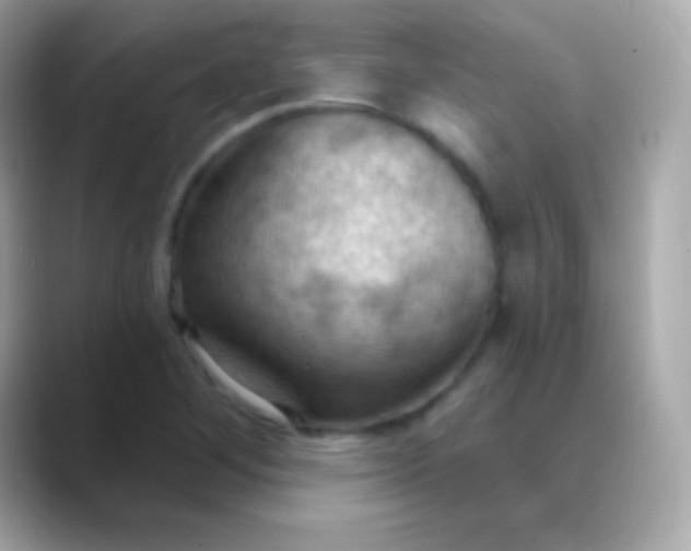 X0000088491268200706051412
