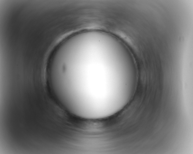 X0000088491270200706051412