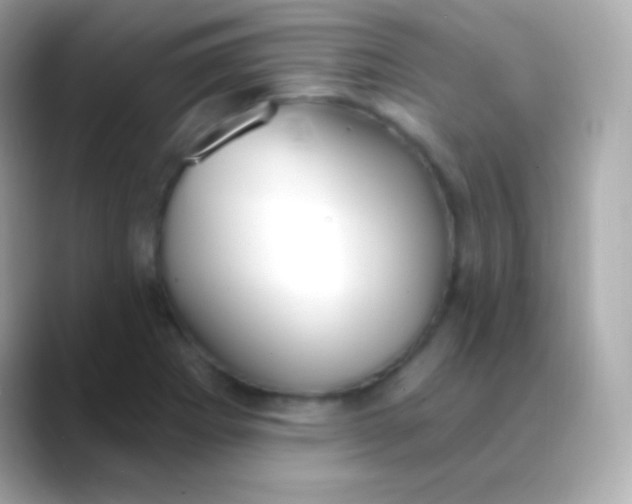 X0000088491273200706051412