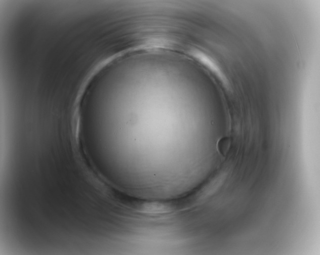 X0000088491275200706051412