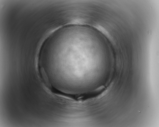X0000088491277200706051412