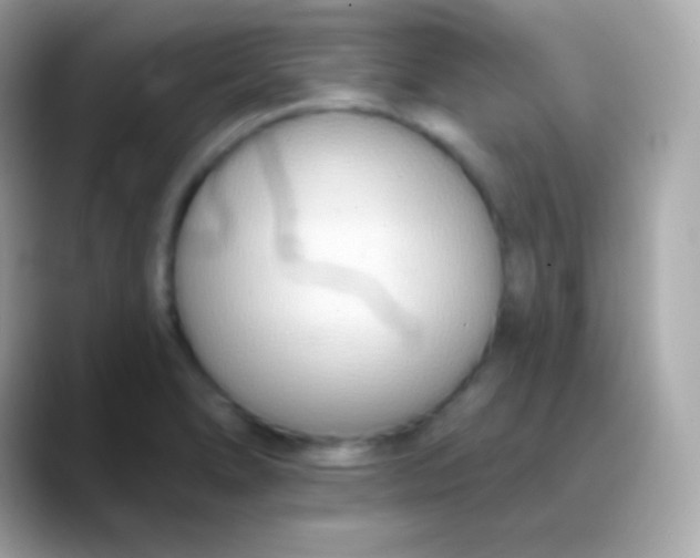 X0000088491278200706051412